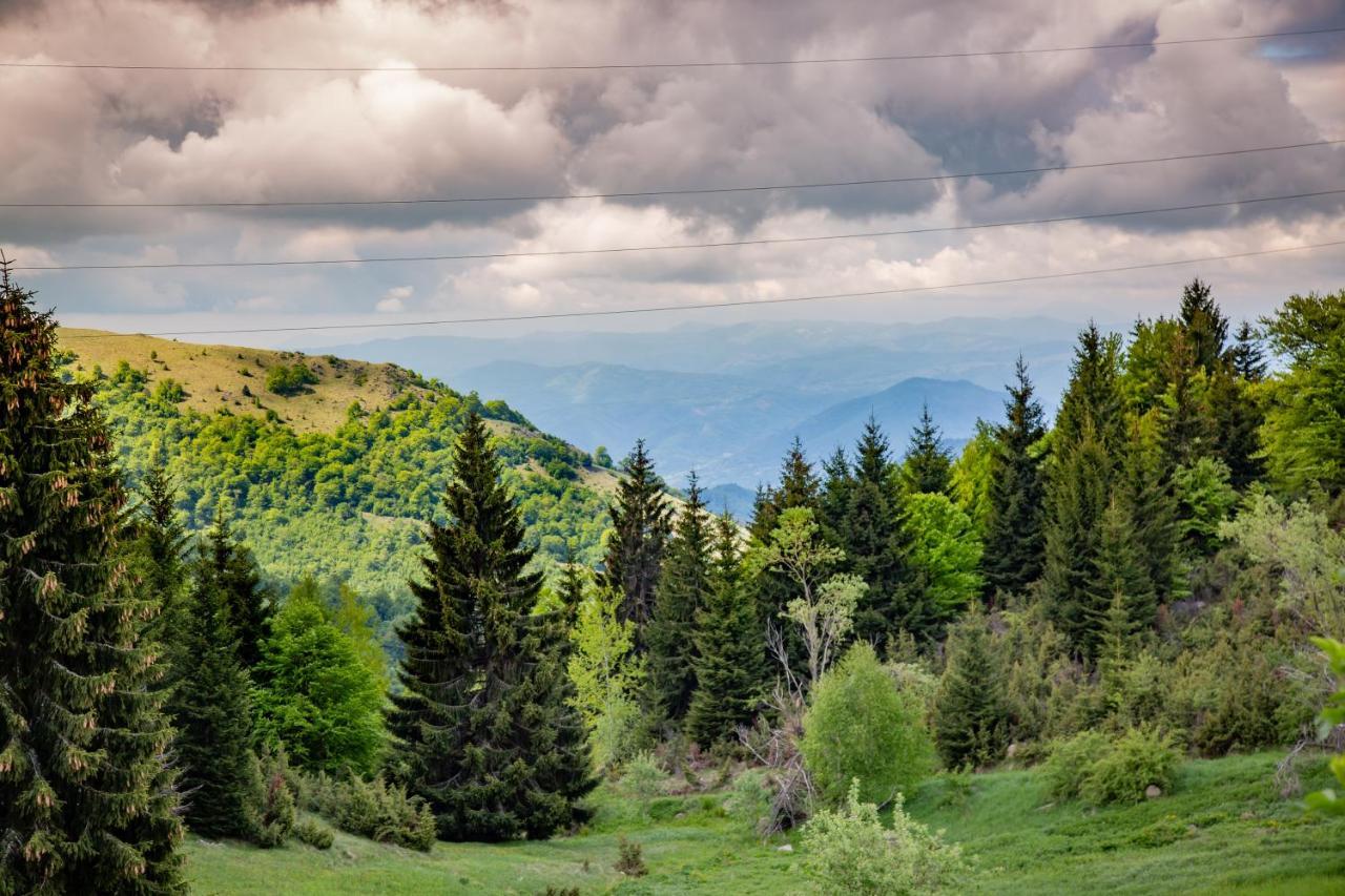 Apartments View Dvori E25 Kopaonik Exteriér fotografie